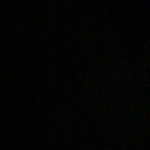 Meet your Posher, Riley